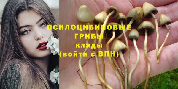 мдпв Красноперекопск