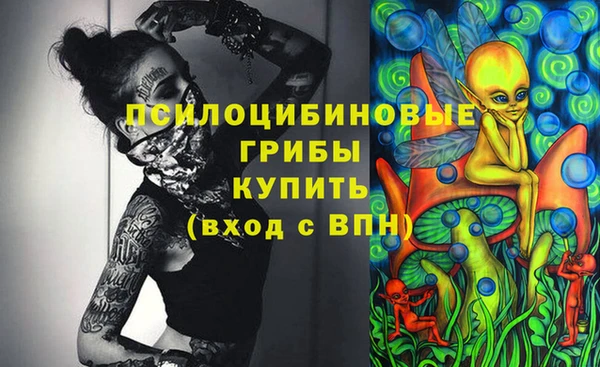 прущий лед Краснослободск