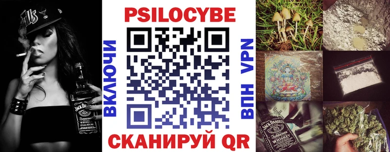как найти закладки  omg зеркало  мориарти состав  Буйнакск  Псилоцибиновые грибы Cubensis 