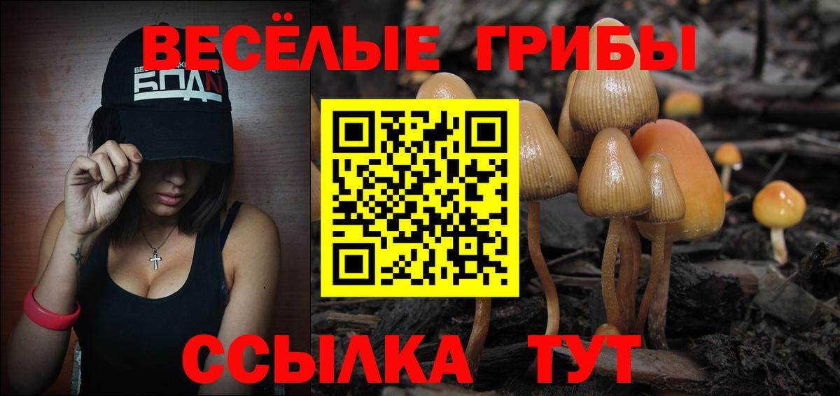 Галлюциногенные грибы Magic Shrooms Буйнакск